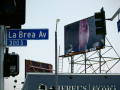 movement-to-movement-takes-la-brea
