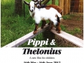 pipi